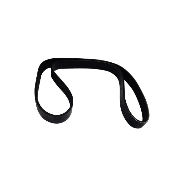 Banda de alternador sin aire acondicionado NISSAN MARCH 1.6 L 2011-2019
