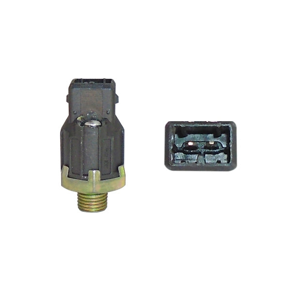 SENSOR DETONACIÓN (KS) RENAULT EURO CLIO 1.6 L 2007-2009