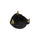 Base amortiguador delantero con balero FORD FOCUS 2 L 1998-2011