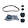 Kit de distribución RENAULT SANDERO 1.6 L 2010-2015