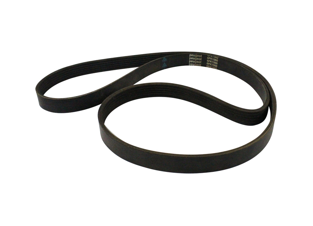 BANDA DE ALTERNADOR SIN AIRE ACONDICIONADO CHEVROLET CENTURY 3.1 V6 1992-1993